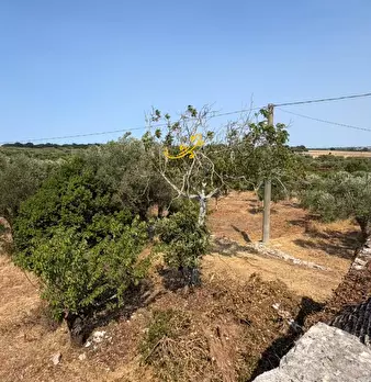 Foto annuncio 18