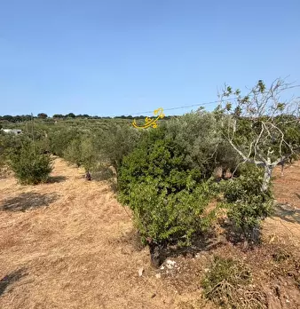 Foto annuncio 19