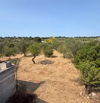 Foto annuncio 20