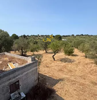 Foto annuncio 21