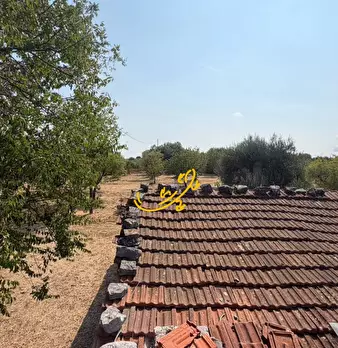 Foto annuncio 16