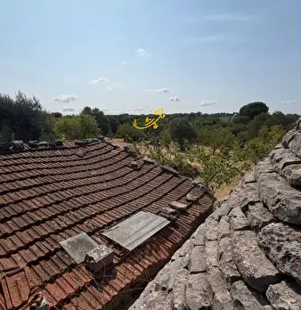 Foto annuncio 22