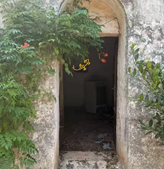 Foto annuncio 23