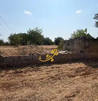 Foto annuncio 25