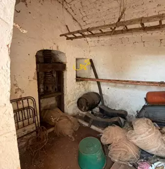 Foto annuncio 29