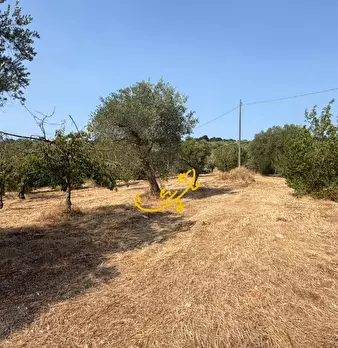 Foto annuncio 17