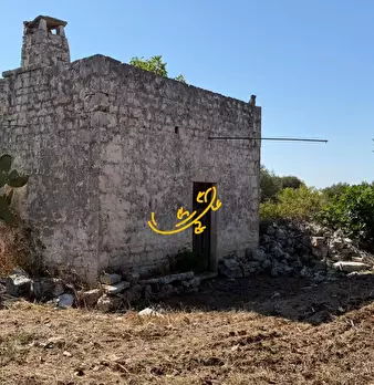 Foto annuncio 2
