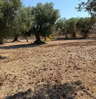 Foto annuncio 8
