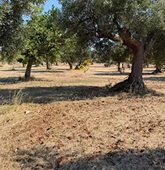Foto annuncio 9