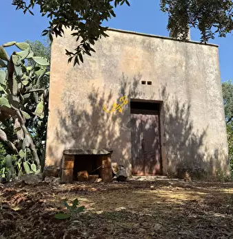Foto annuncio 37