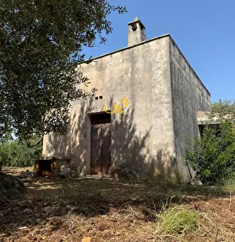 Foto annuncio 38