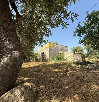 Foto annuncio 39