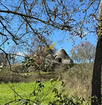 Foto annuncio 7