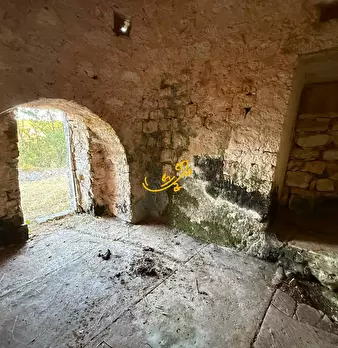 Foto annuncio 16