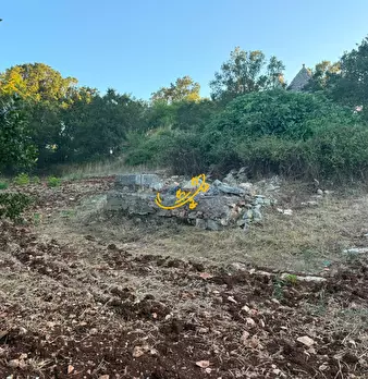 Foto annuncio 19