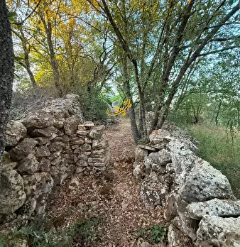 Foto annuncio 24