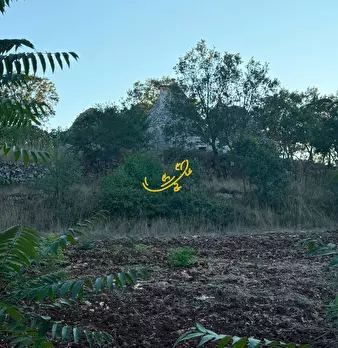 Foto annuncio 27