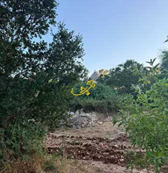 Foto annuncio 29