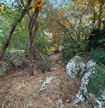 Foto annuncio 30