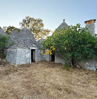 Foto annuncio 6