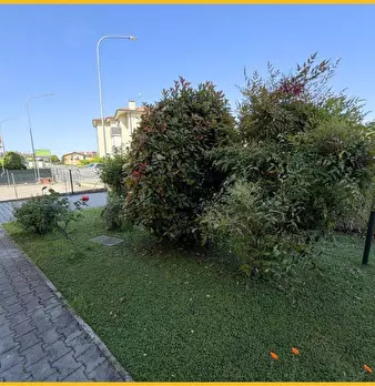 Foto annuncio 19