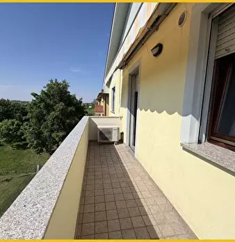 Foto annuncio 47