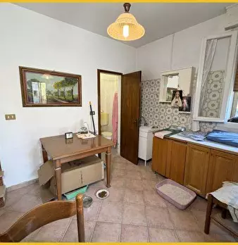 Foto annuncio 47