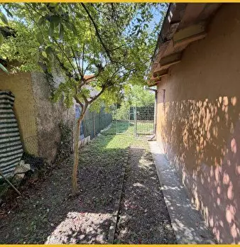 Foto annuncio 61