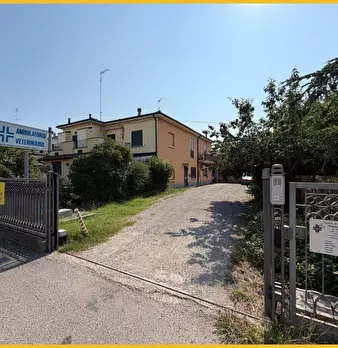 Foto annuncio 23