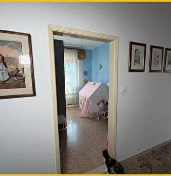 Foto annuncio 47
