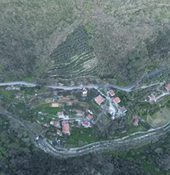 Foto annuncio 22