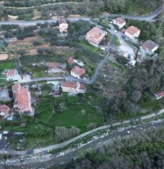 Foto annuncio 24