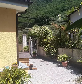 Foto annuncio 30