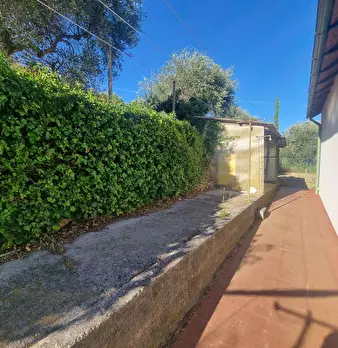 Foto annuncio 6