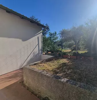 Foto annuncio 7