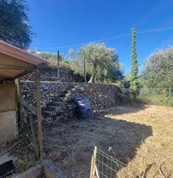 Foto annuncio 9
