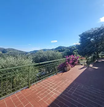 Foto annuncio 21