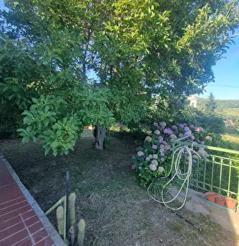 Foto annuncio 23