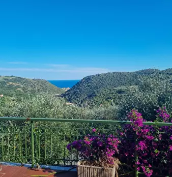Foto annuncio 24