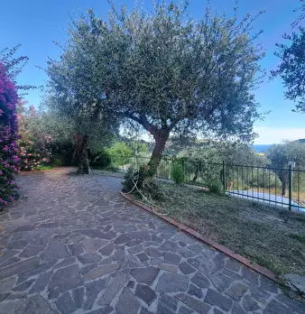 Foto annuncio 29