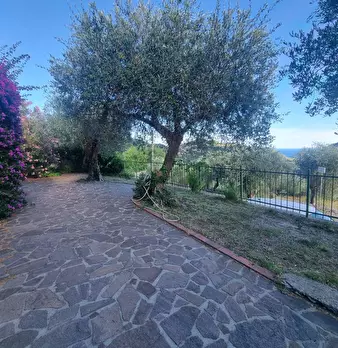Foto annuncio 30