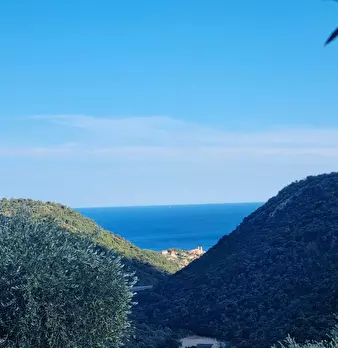 Foto annuncio 33