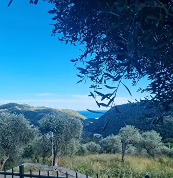 Foto annuncio 34