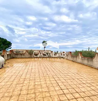 Foto annuncio 24