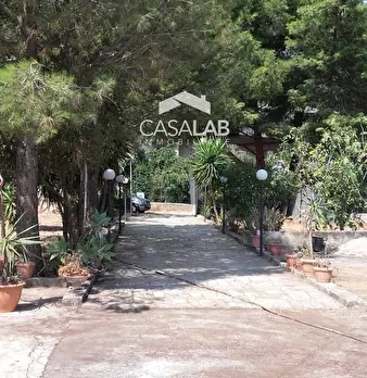 Foto annuncio 18