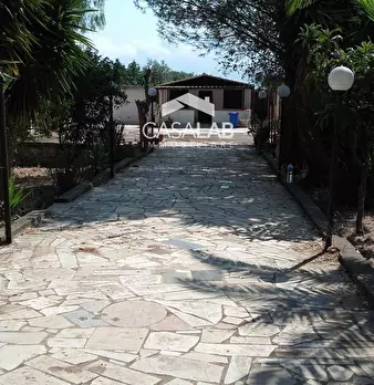 Foto annuncio 19