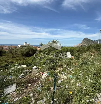 Foto annuncio 3