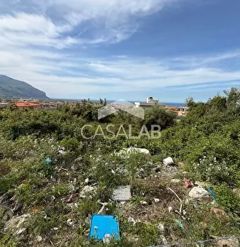 Foto annuncio 6