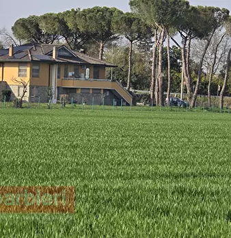 Foto annuncio 4