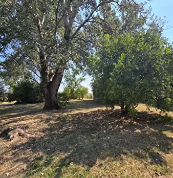 Foto annuncio 30